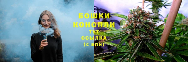 не бодяженный Волоколамск