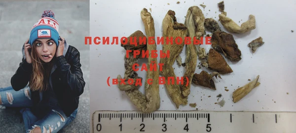 прущая мука Вяземский