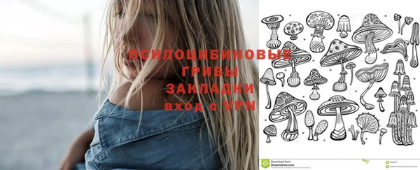 прущая мука Вяземский