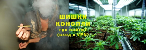 прущая мука Вяземский