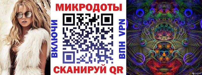 где купить наркоту Дербент Псилоцибиновые грибы Psilocybe